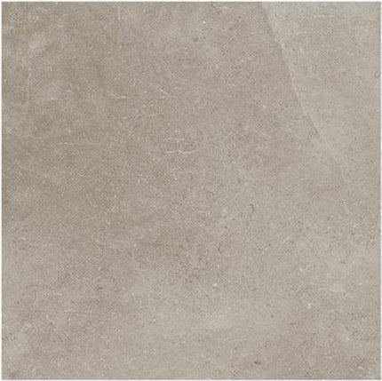 ages porcelain tile matte 24x24