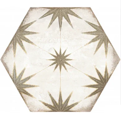 Decorative hexagonal tile with starburst pattern on a white background