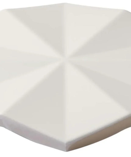 ogassian hexagon white matte porcelain tile 3d 6