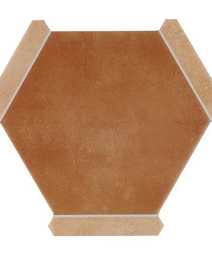 Hexagonal brown tile with white border on a white background