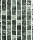 1.5x1.5-br-jungle-nature-squares