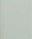 Celadon