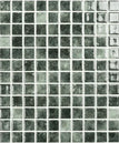 1x1-br-jungle-nature-squares