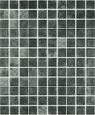 1x1-jungle-nature-squares