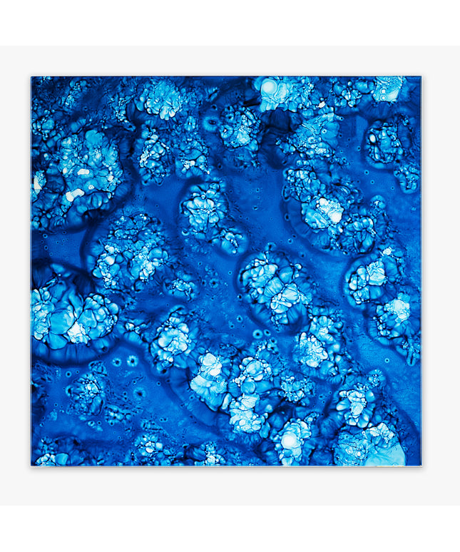 Close-up of blue textured surface with a white background