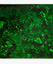 Green With Envy