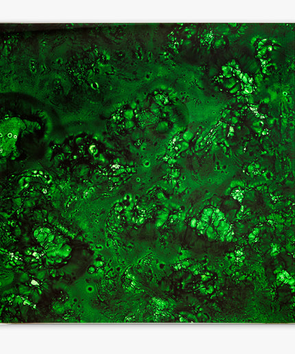 Close-up of green textured material with a white border