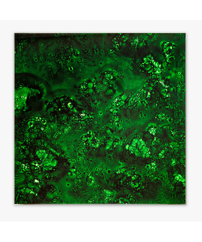 Close-up of green textured material with a white border