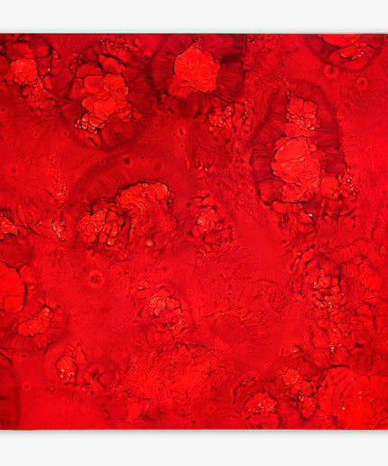 An abstract red fluid art print featuring textured, organic splatters and marbled patterns on a white background.