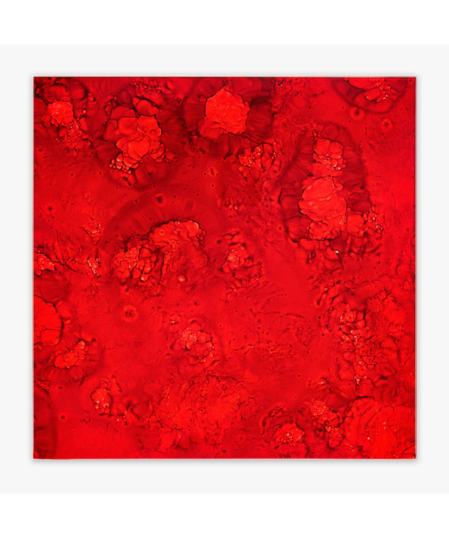 An abstract red fluid art print featuring textured, organic splatters and marbled patterns on a white background.