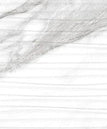 brilliant white