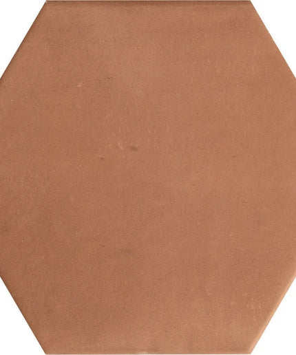 Hexagonal terracotta tile on a white background