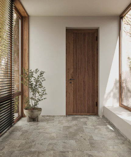 Modern interior with a wooden door, potted plant, and large windows.