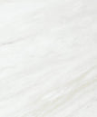 timeless white
