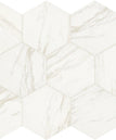 timeless white