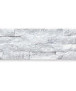 Ledger-Panel-Moonlit
