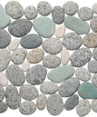 Perfect-Pebble-Bird Egg