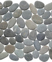 Perfect-Pebble-Tundra Sage