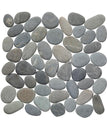 Perfect-Pebble-Tundra Sage