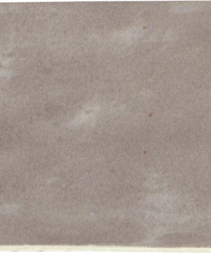 epc harmony riad taupe glossy 2x8 tiles