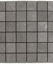 Mosaic-Fossil
