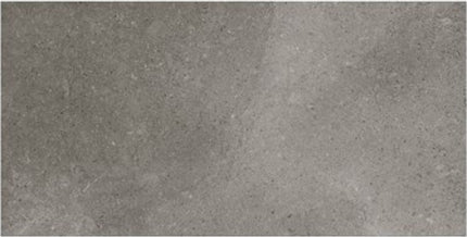 ages porcelain tile matte 24x48 Fossil