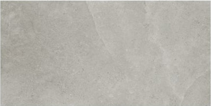 ages porcelain tile matte 24x48 Fumo