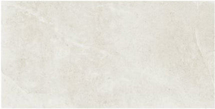 ages porcelain tile matte 24x48 Perla