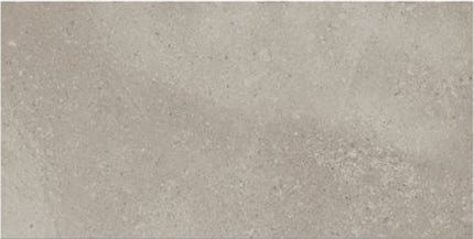 ages porcelain tile matte 24x48 Tortora