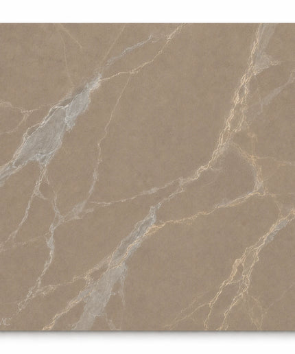 Leona Look Porcelain Tile 24x24
