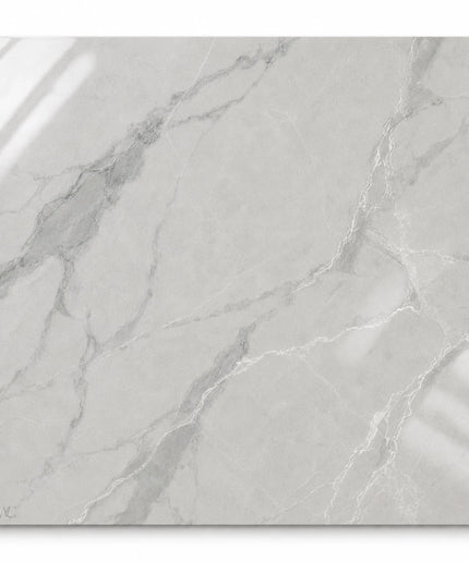 Leona Look Porcelain Tile 24x24