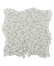 Arctic White
