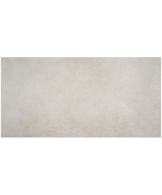 argent-silver-24x48-matte-rectified