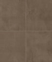 Baritone Brown