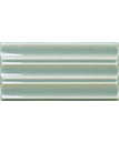 Belt-Fern