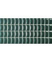 Emerald Gloss