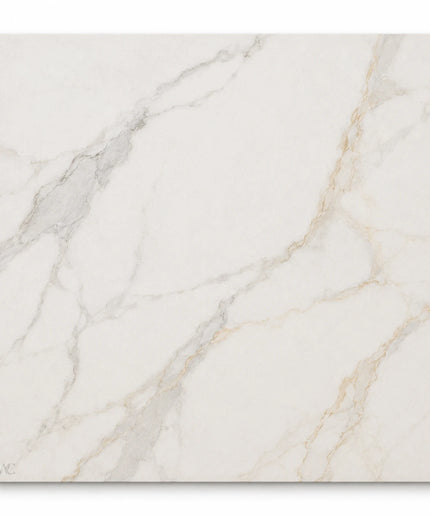Leona Look Porcelain Tile 24x24