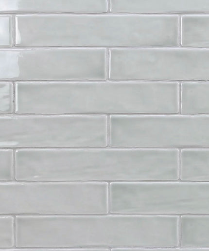 chameleon 2x10 subway tile