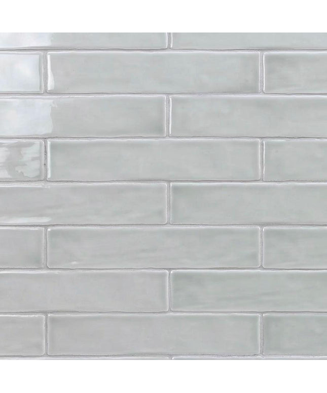 chameleon 2x10 subway tile