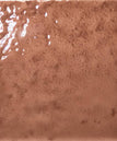 Chestnut - Gloss