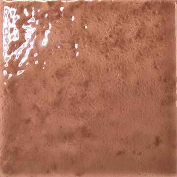 A square close-up of a glossy terracotta brown textured surface, likely a ceramic tile or material swatch, with light reflections on the left side.