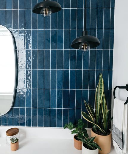 Bathroom with blue tiled wall, plants, and modern fixtures