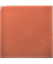 Coral-Gloss