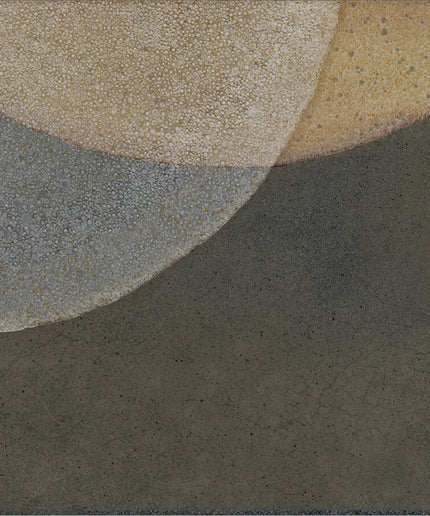 Close-up of a textured stone surface with circular patterns in gray, beige, and brown.