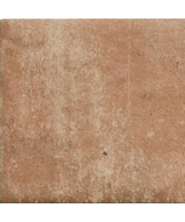 Cotto Fresco Porcelain Tile 2.5x2.5 10x10