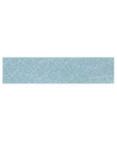 Blue Bullnose