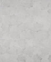 Dove Gray