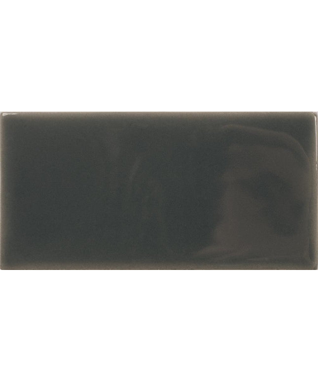 fayenza ceramic tile gloss 2 5x5 Fern