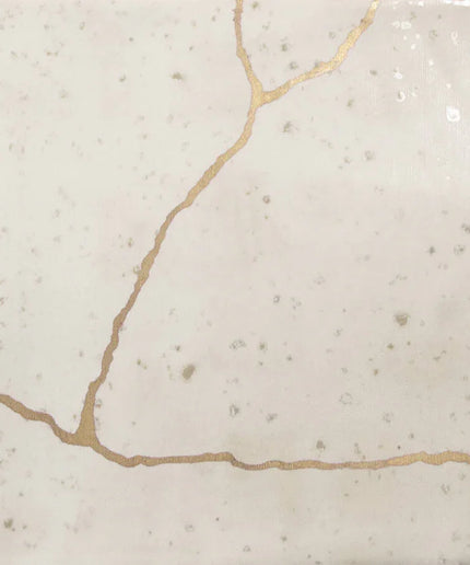 Close-up of a beige stone surface with a crack running through it