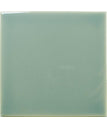 Fern-Gloss